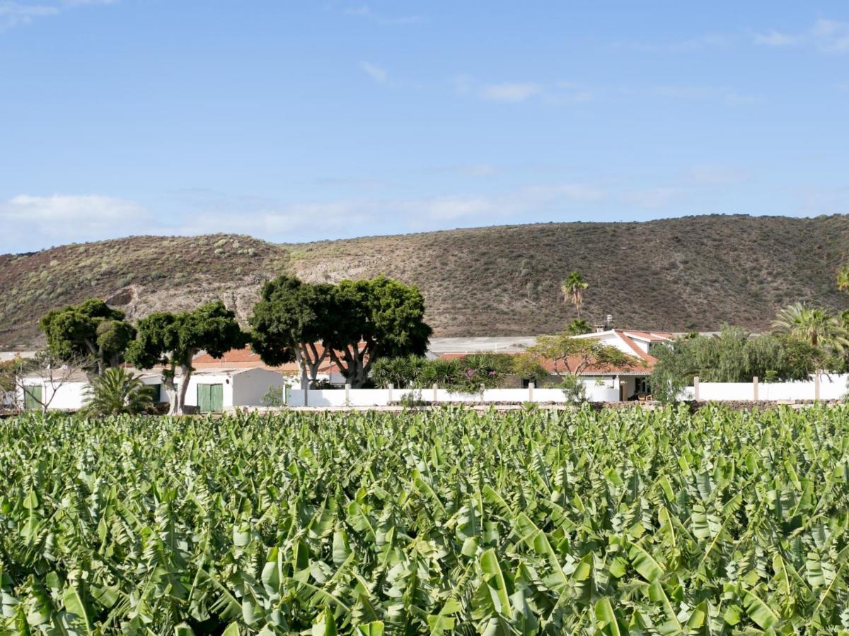 El Mato Caserio De Guaza Exteriör bild